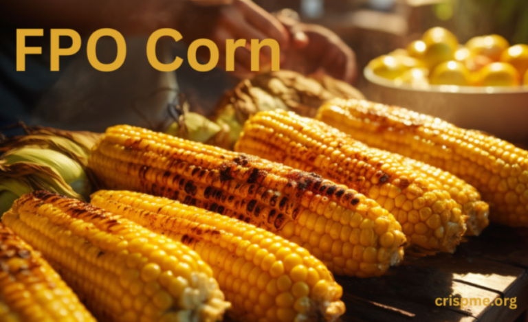 The Transformative Power Of FPO Corn: Redefining Maize Trade For Farmers