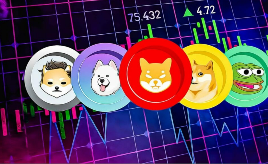 What Is DrDoge?