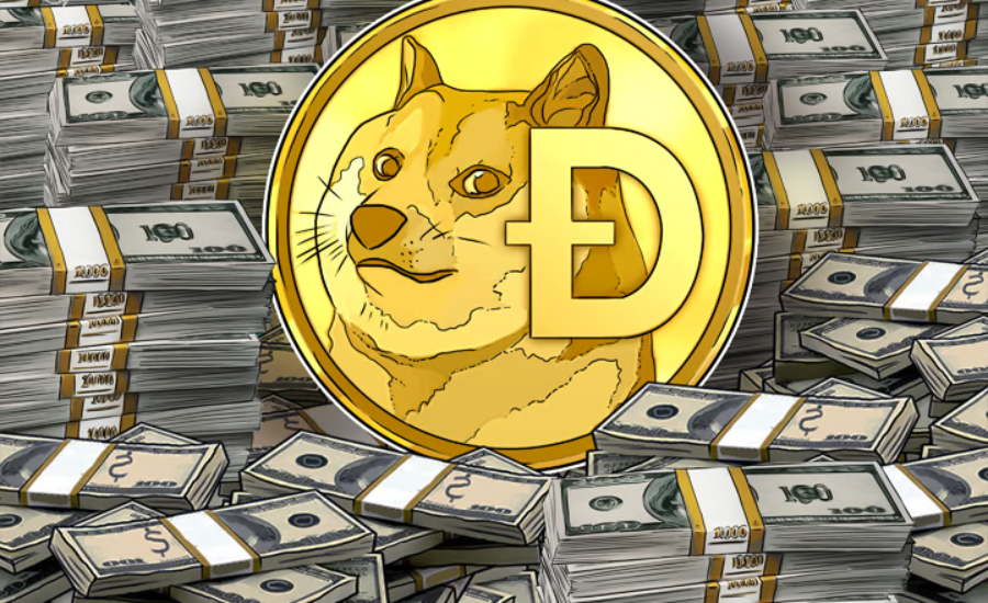 Risks Associated With DrDoge