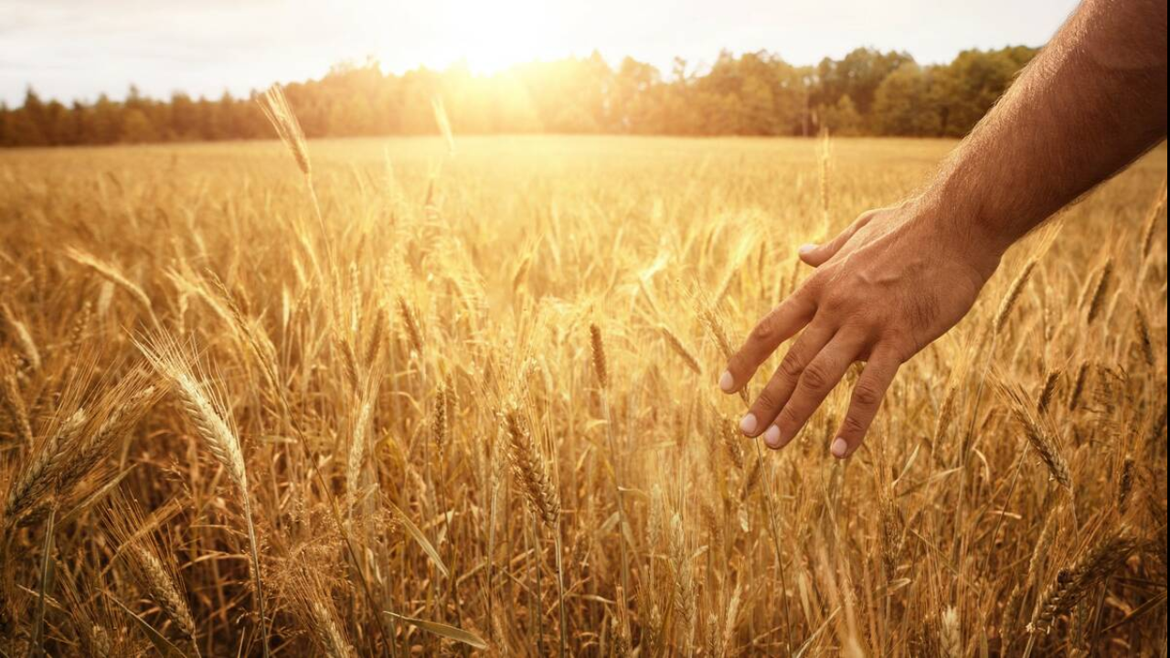 AgTalk: A Safe Space for Farmers and Agricultural Communities | Pudelek